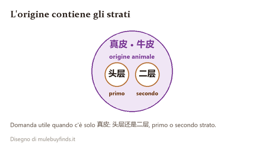 Un cerchio grande con 真皮 e 牛皮 che contiene due cerchi più piccoli, 头层 e 二层