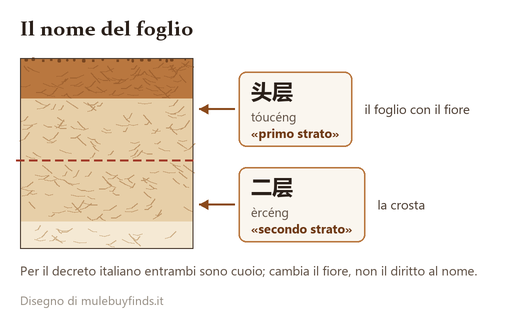 Due cartellini, 头层 e 二层, con pronuncia e traduzione, ognuno collegato al foglio della pelle che indica
