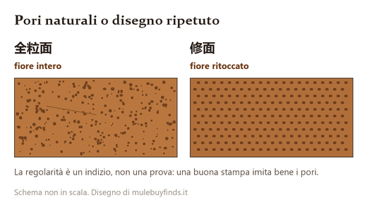 Due superfici ingrandite affiancate: 全粒面 con pori irregolari e 修面 con grana stampata regolare